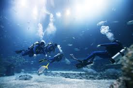 Scuba Diving